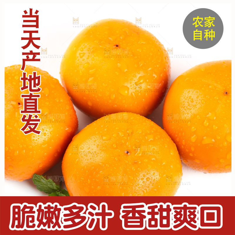 白底上摆放着脆柿子