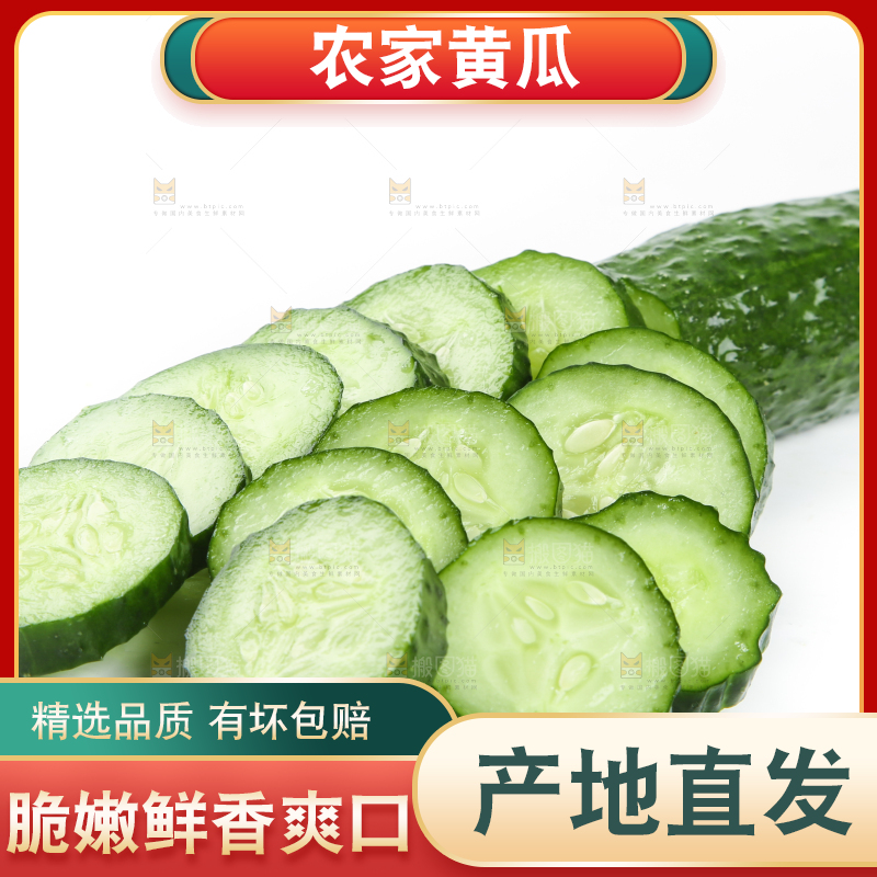 白底上摆放着黄瓜