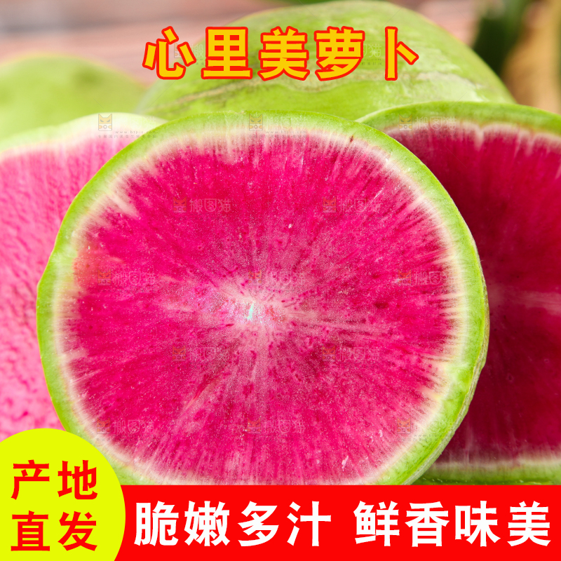 浅底上摆放着心里美萝卜