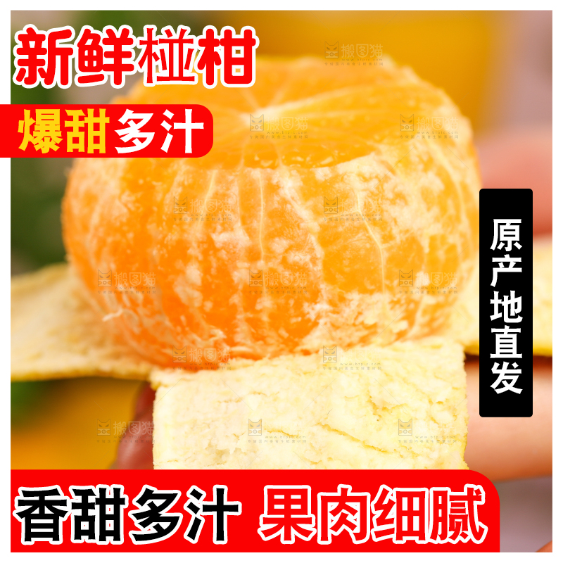 手里拿着芦柑