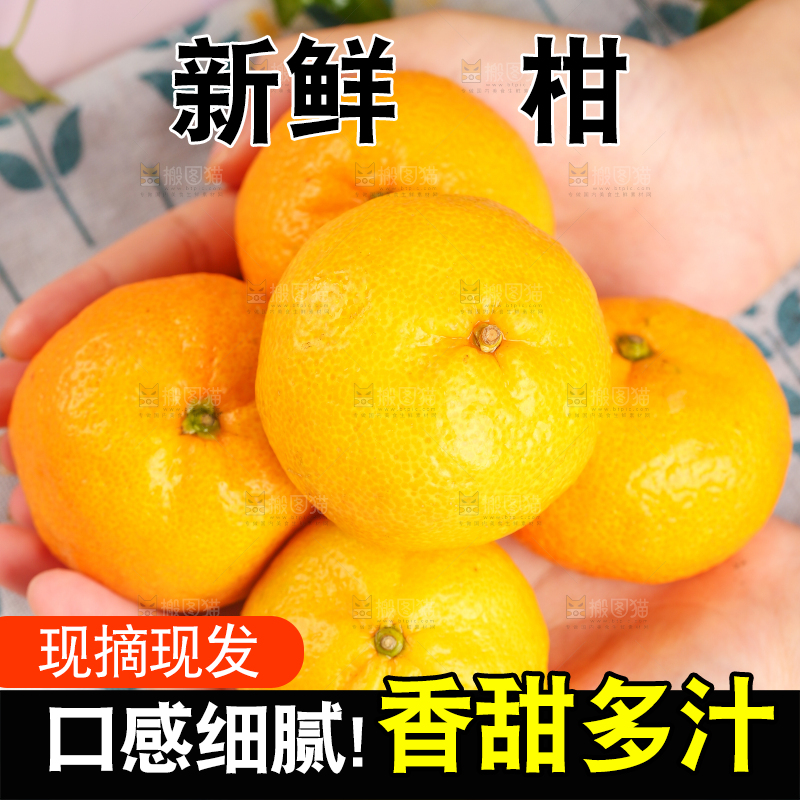 手里拿着芦柑