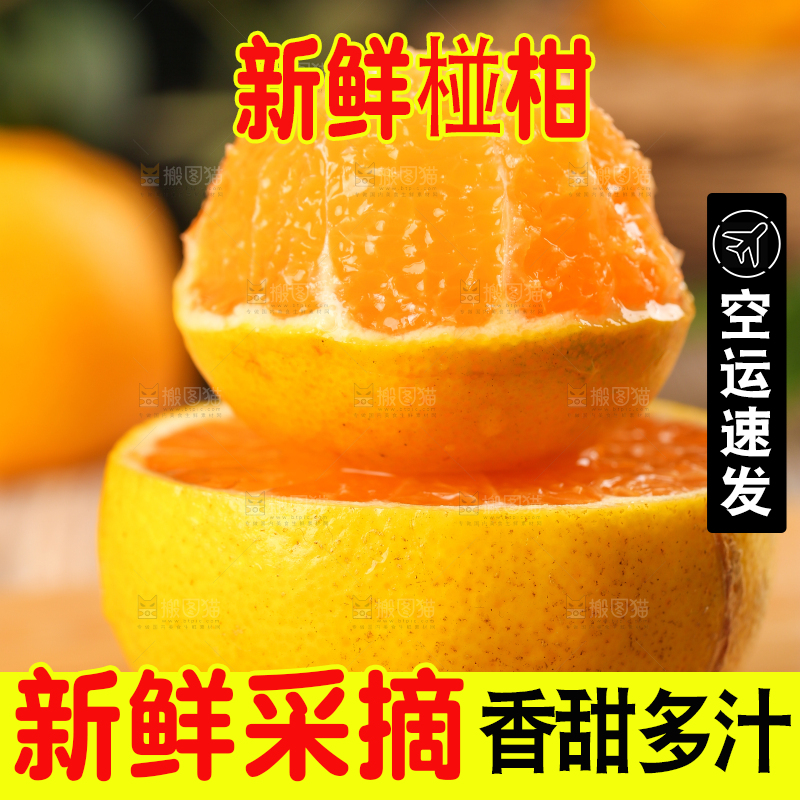 木底上摆放着椪柑