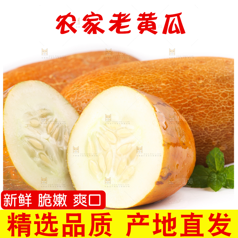 白底上摆放着老黄瓜