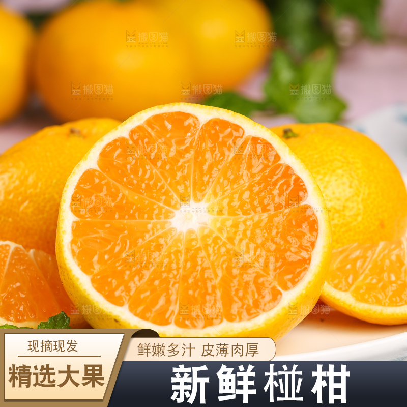 碟子里装着椪柑橘