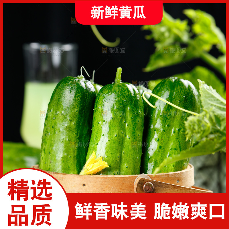 篮子里放着青瓜