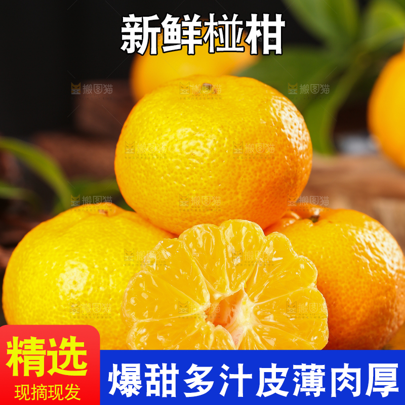 黑底上摆放着椪柑