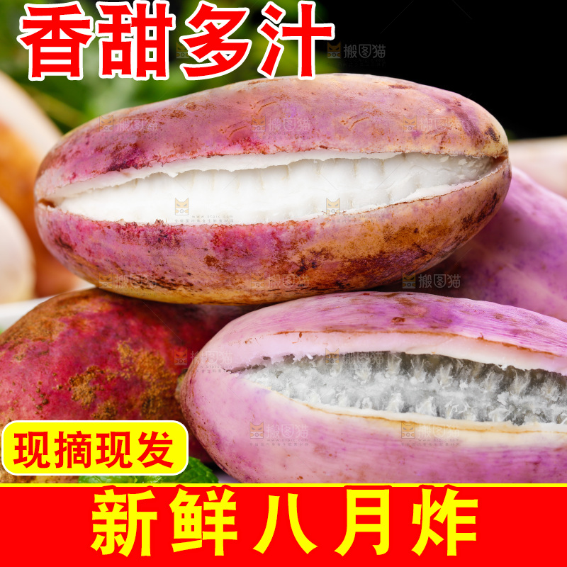 白底上摆放着八月瓜