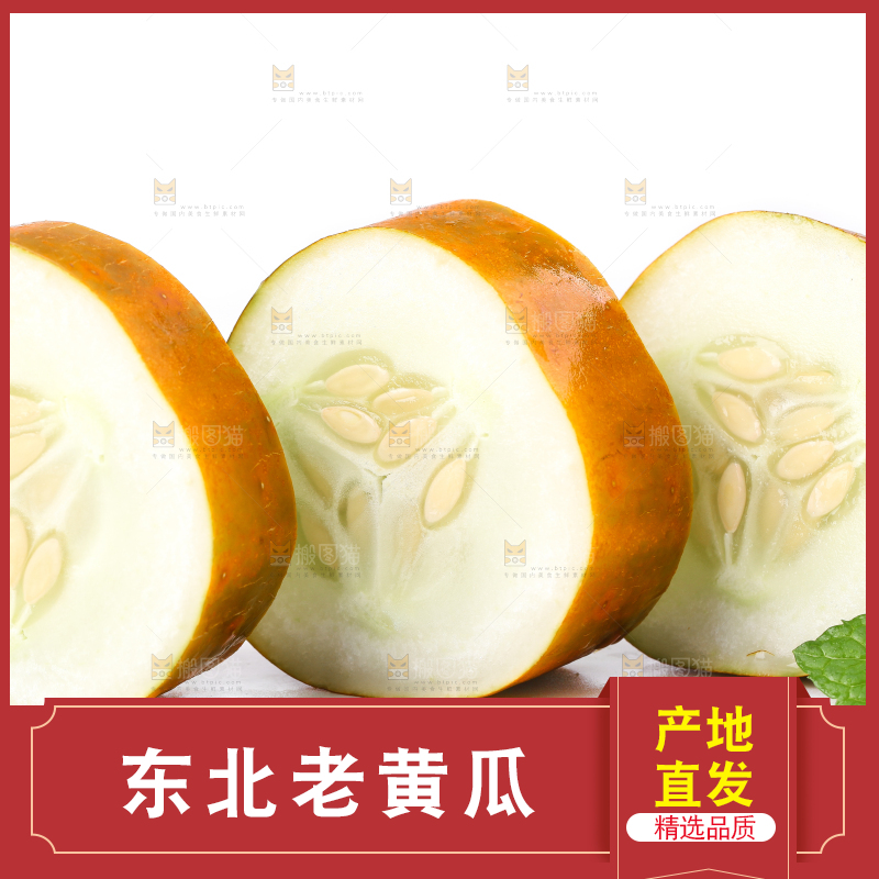 白底上摆放着老黄瓜
