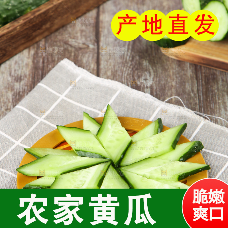 格子底上摆放着黄瓜