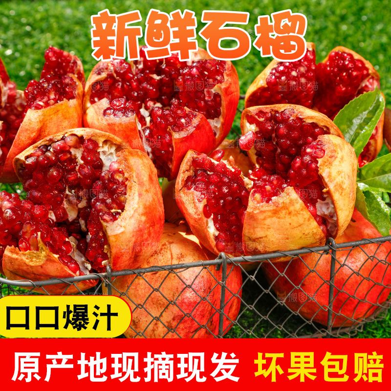 绿地上摆放着石榴