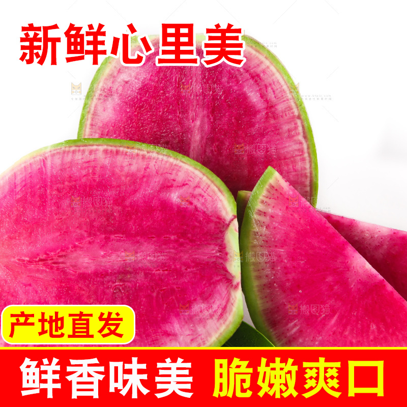 白底上摆放着青皮萝卜