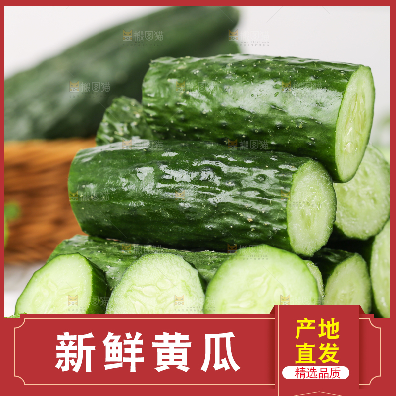 木底上堆放着新鲜黄瓜
