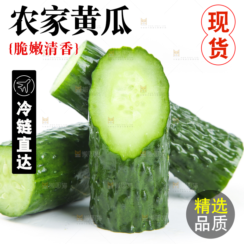 白底上摆放着黄瓜