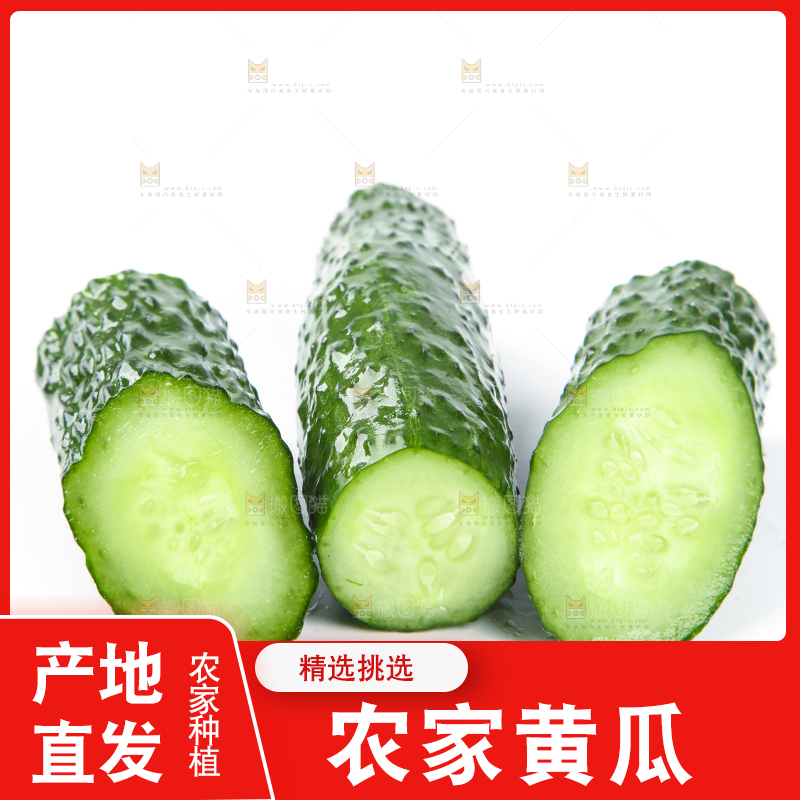 白底上摆放着黄瓜