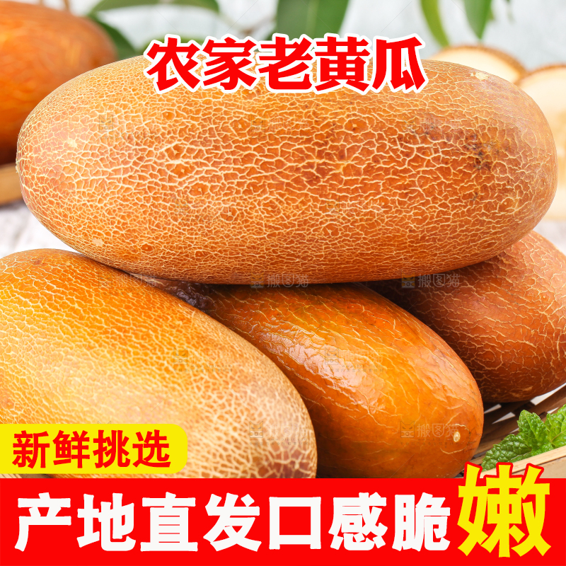 篮子里装着黄皮黄瓜