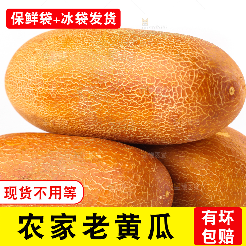 白底上摆放着老黄瓜