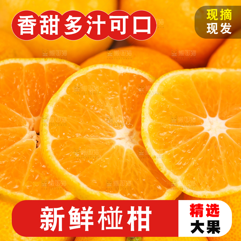 碟子里装着椪柑橘