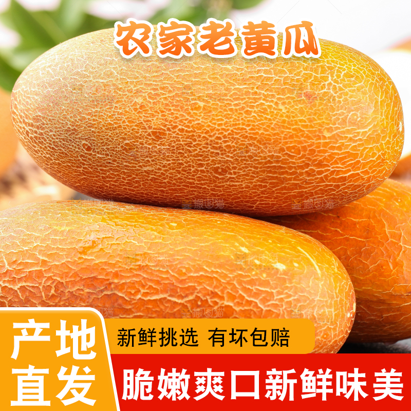 深底上摆放着老黄瓜