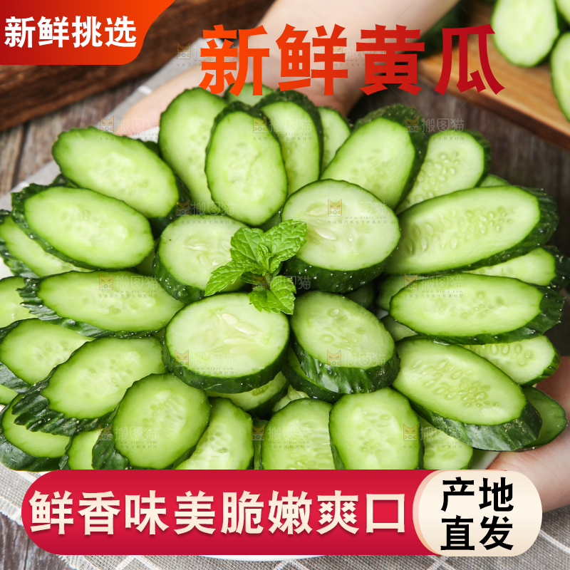 格子底上摆放着黄瓜