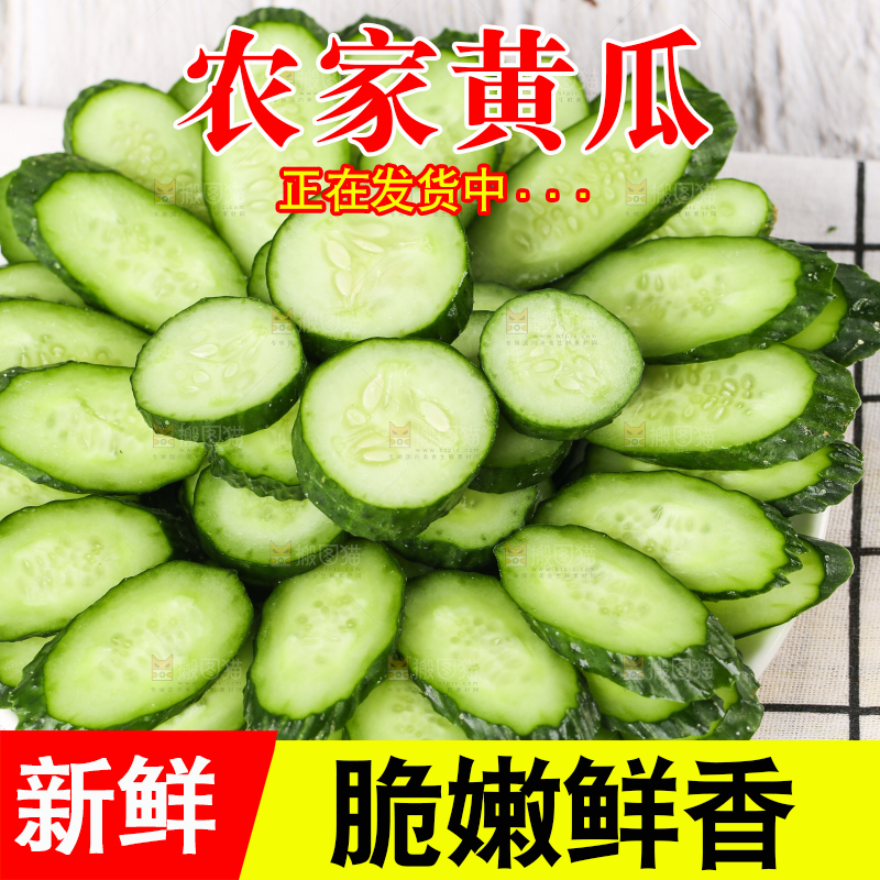 格子底上摆放着青瓜