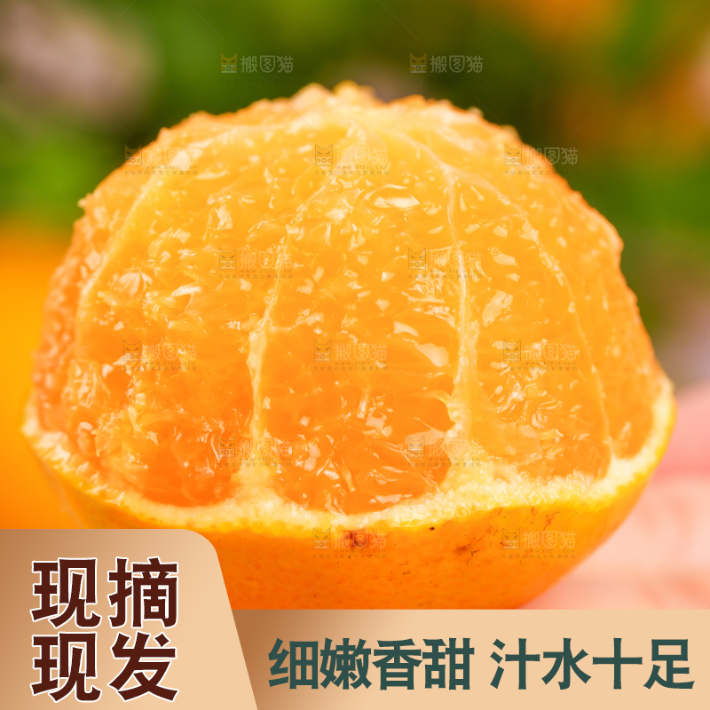 手里拿着芦柑