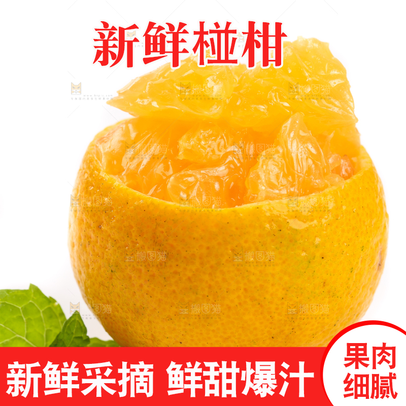 白底上摆放着椪柑橘