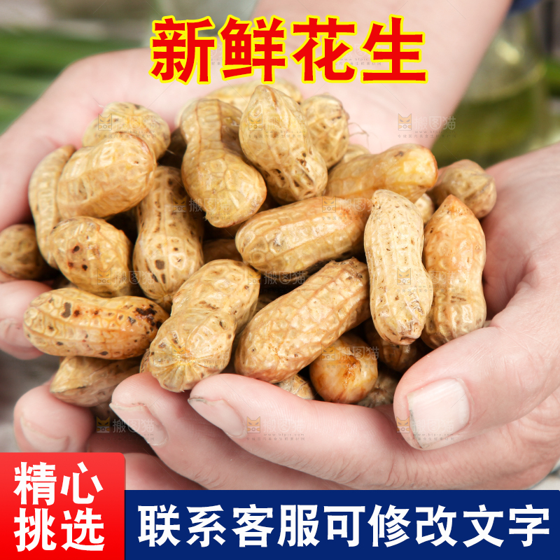 手里捧着新鲜花生