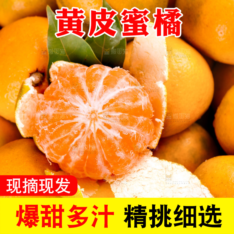 堆放着黄皮蜜橘