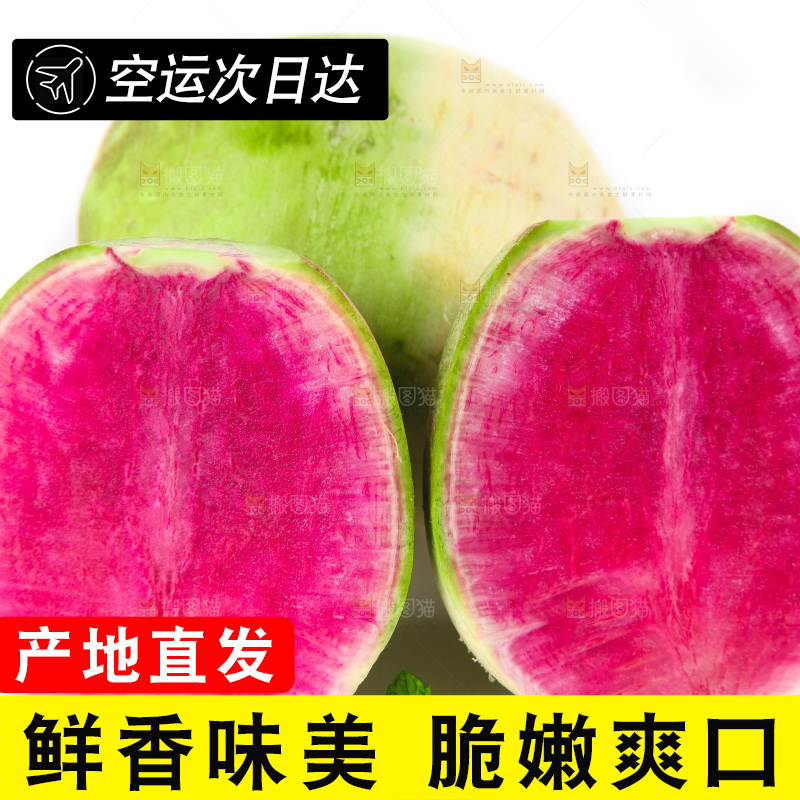 白底上摆放着青皮萝卜
