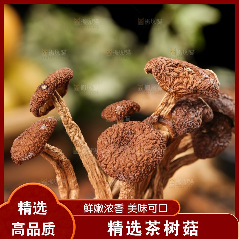 手里拿着茶树菇