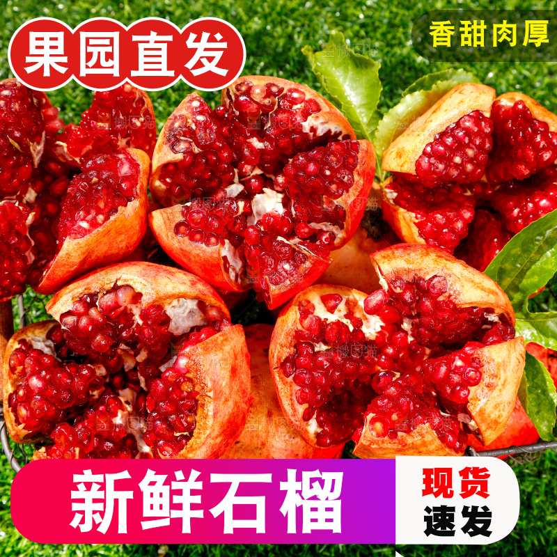 绿地上摆放着石榴