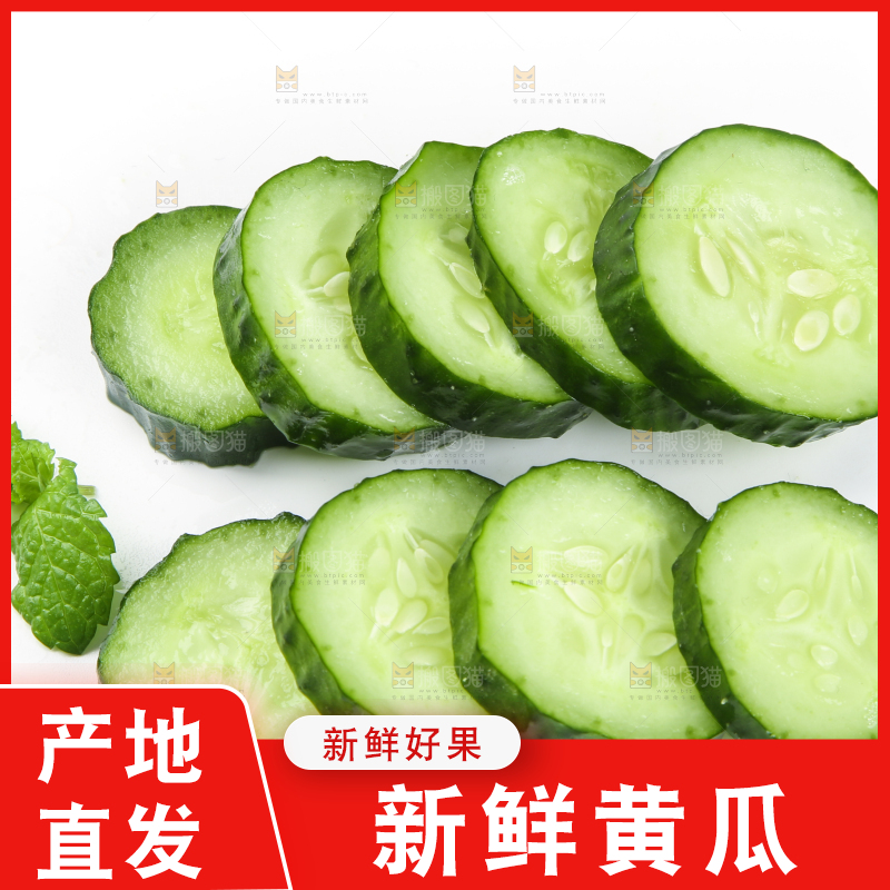 白底上摆放着黄瓜
