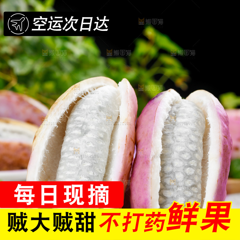 白底上摆放着八月瓜