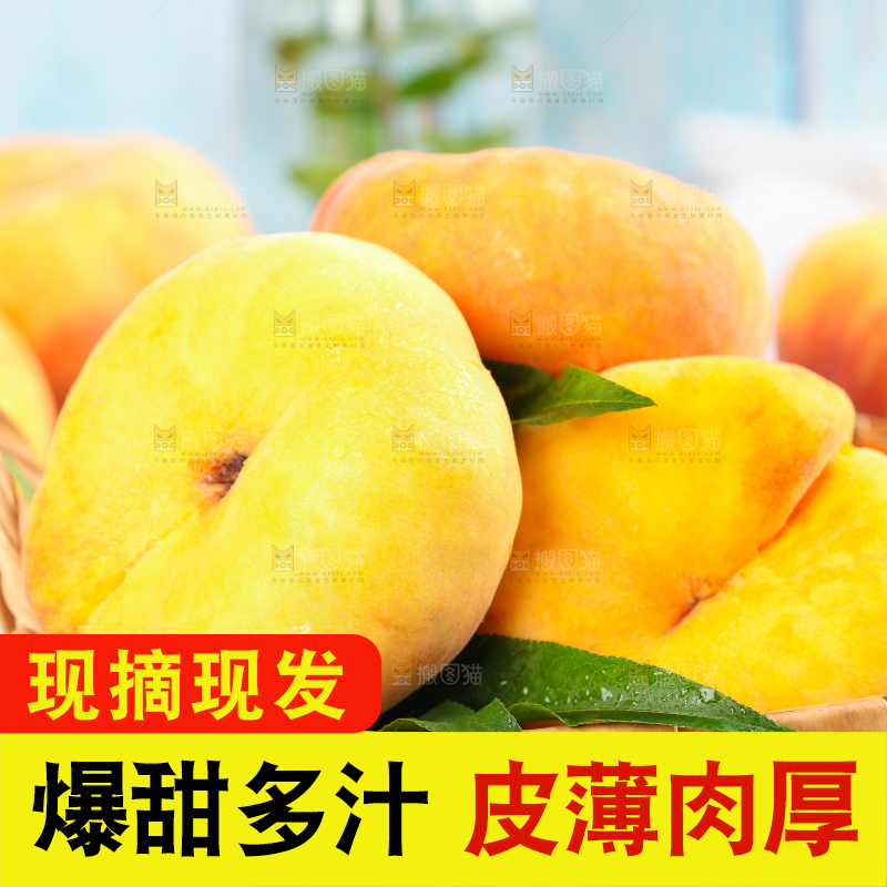 蓝底上放着一筐黄金毛蟠桃