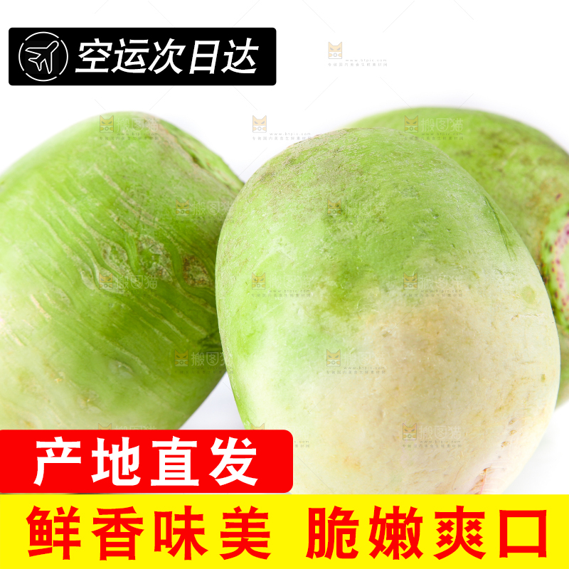 白底上的心里美萝卜