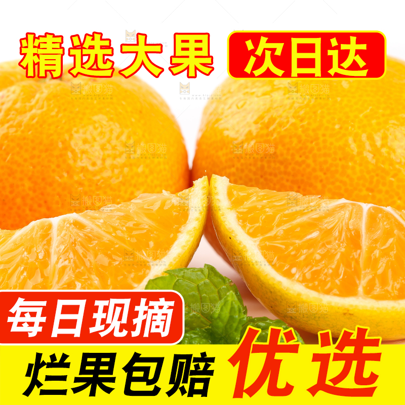 白底上摆放着椪柑橘