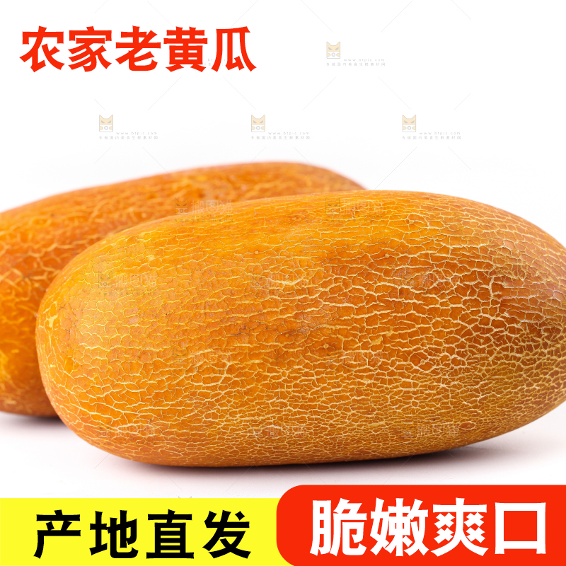 白底上摆放着老黄瓜