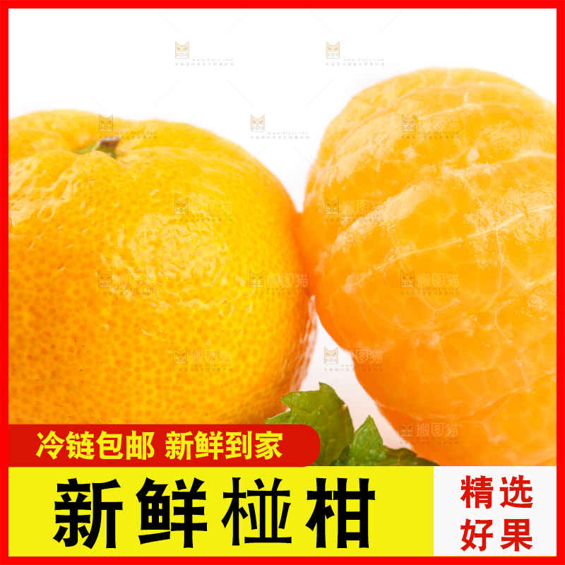 白底上摆放着椪柑橘