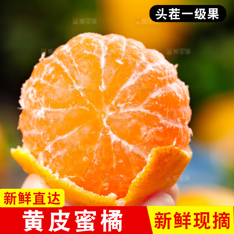手里拿着桔子