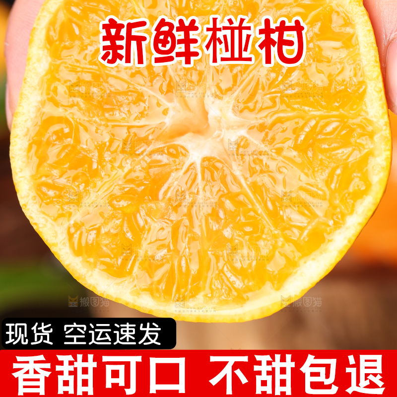 手里拿着芦柑