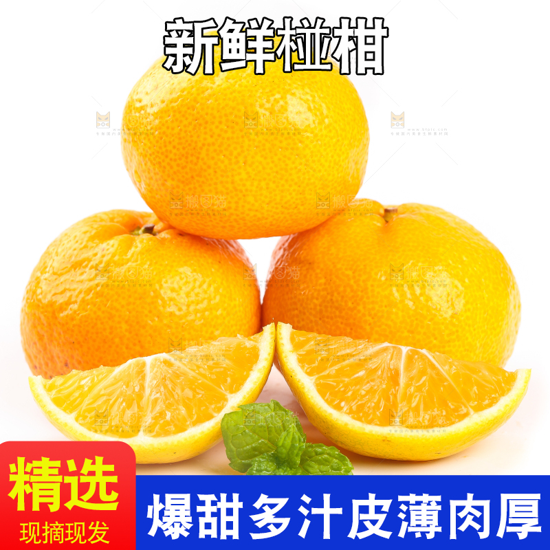 白底上摆放着椪柑橘