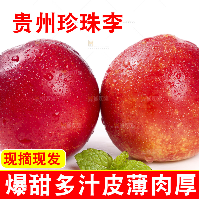 白底上的珍珠李