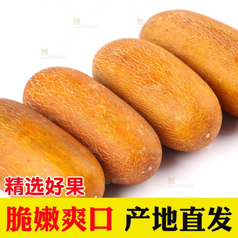 白底上摆放着老黄瓜
