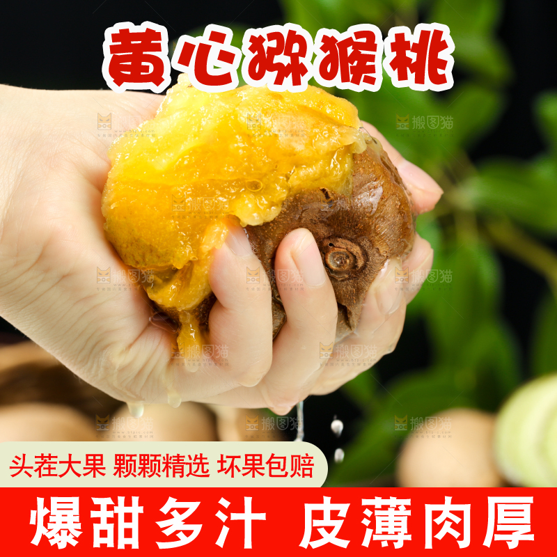 手里拿着黄心猕猴桃