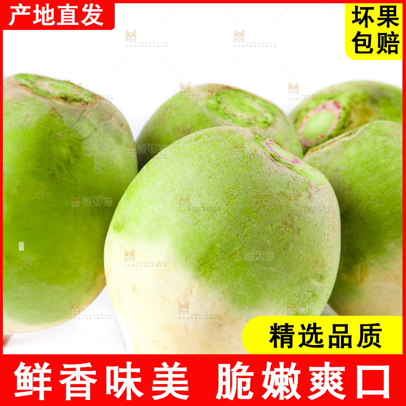 白底上的心里美萝卜