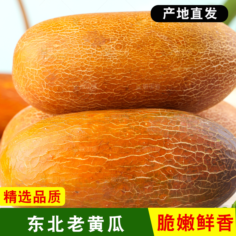 浅底上放着老黄瓜