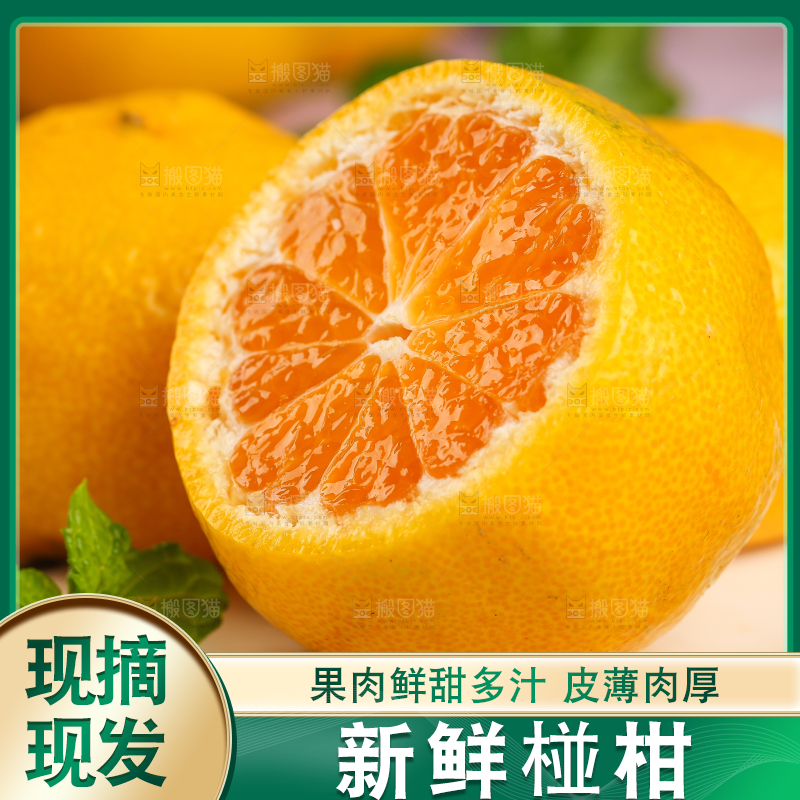 碟子里装着椪柑橘