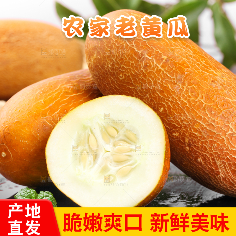 深底上摆放着老黄瓜