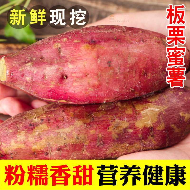 手里拿着栗蜜薯