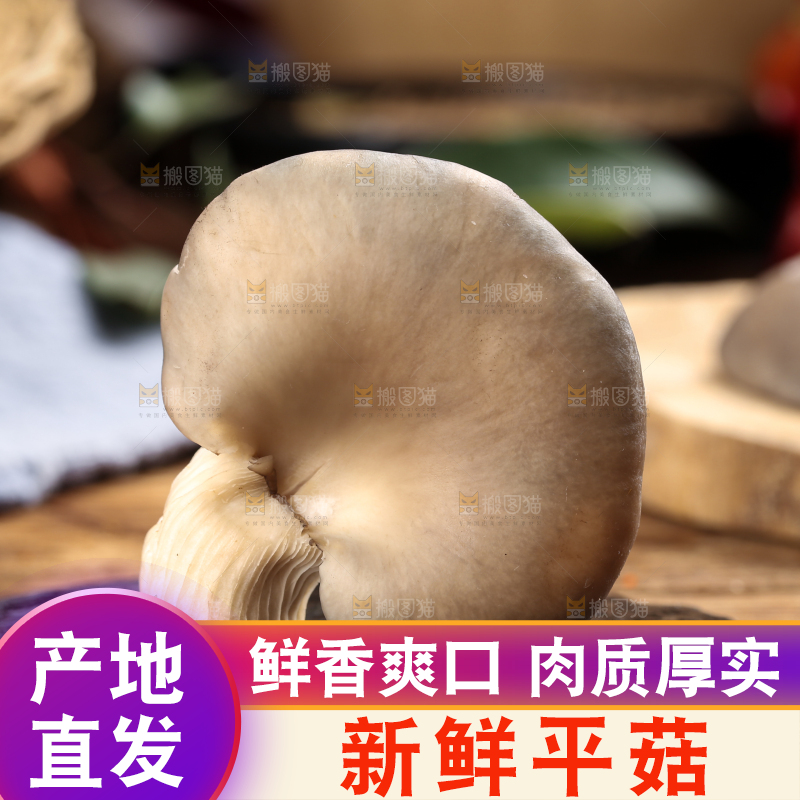 黑底上摆放着平菇
